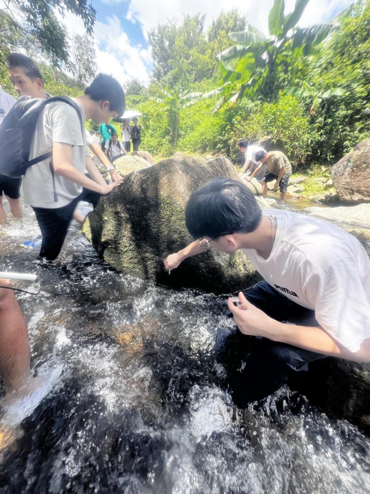 在淡水溪流進行實地考察