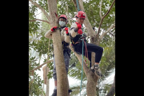 攀樹訓練日營